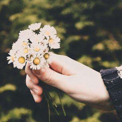 半岛.体育BANDAO SPORTS