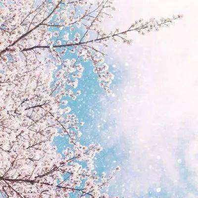 天博tb·体育综合