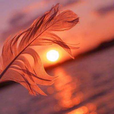 金年会体育app手机注册