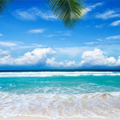 开元·appapp下载