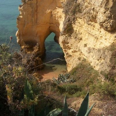 火狐体育下载app下载手机版