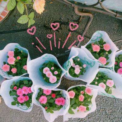 BOB博鱼·体育官网入口