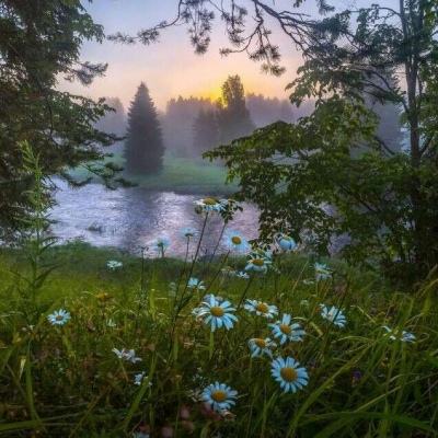 乐鱼娱乐app官网下载