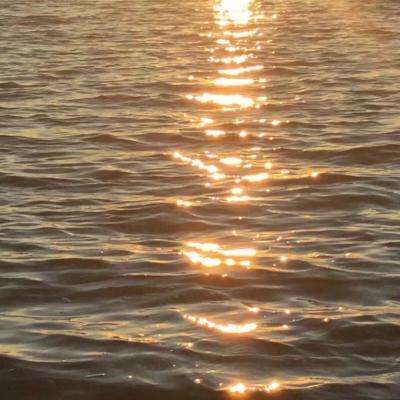 江南官方网站下载手机app下载