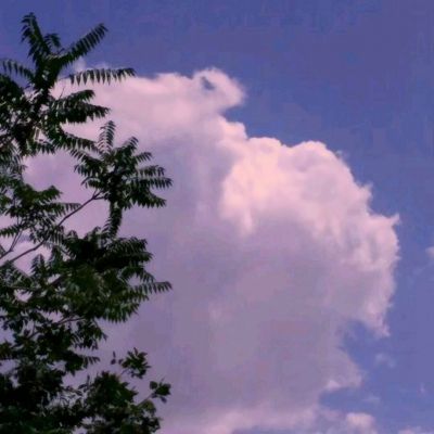 澳门新莆京游戏大厅app下载